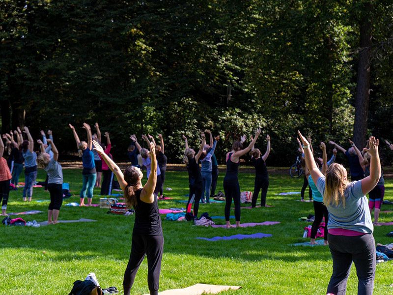 Yoga-Gruppe beim Outdoor-Yoga im Park
